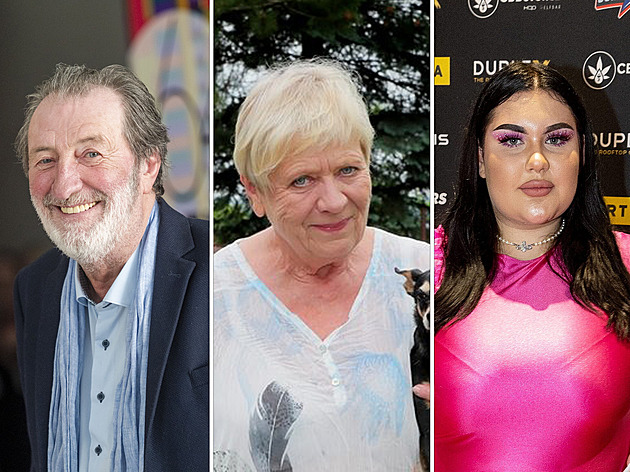 Polívka, Obermaierová či Chlopčík. Jaké strany podpořily české celebrity?