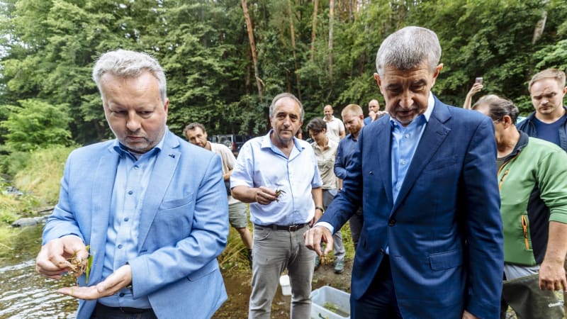 Odstrčení hejtmani ANO uspěli. Z posledního místa kandidátky vyskočili Brabec i Okleštěk