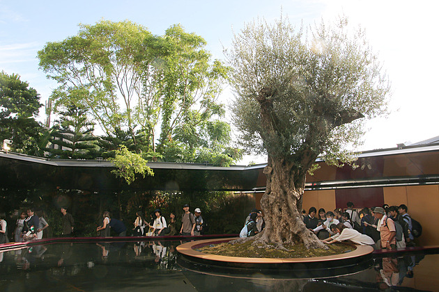 Expo 2025 je u konce. Výstavu provázela rekordní návštěvnost i nálety hmyzu