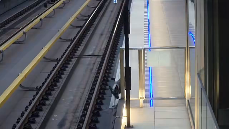 Štěně na pět hodin zastavilo metro. Je rychlé a mrštné, vysvětlovala policie složitý odchyt