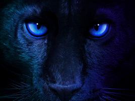 Intel opět mění datum vydání Panther Lake, z roku 2025 je leden 2026