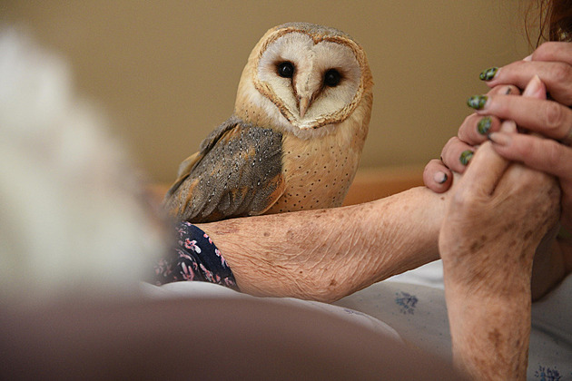 Dobročinné projekty opět usilují o podporu v programu ČSOB