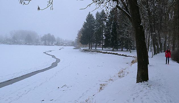 Žďár křísí Horní rybník. Bahno zpevní pole, okolí zaplní ptačí pozorovatelna