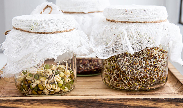 Vitamínová bomba z parapetu za pár korun: Jak na domácí klíčení