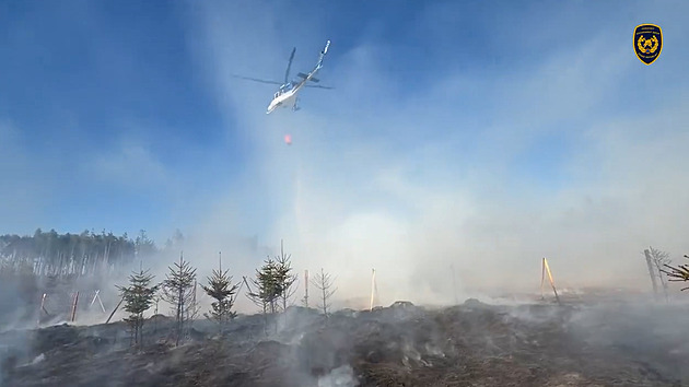 Na Žďársku hořely mladé stromky a tráva. V kraji jde o sedmý požár za týden