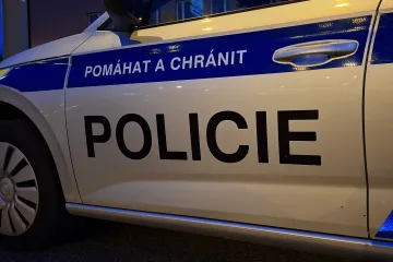 Kriminalisté zadrželi matku mrtvého novorozence z Rovenska, obvinili ji z vraždy